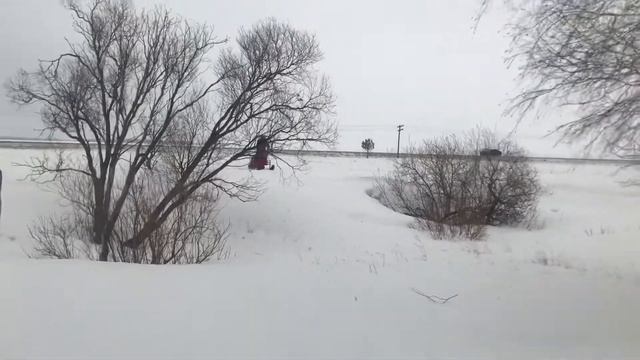 Форза 17 л/с смотреть онлайн