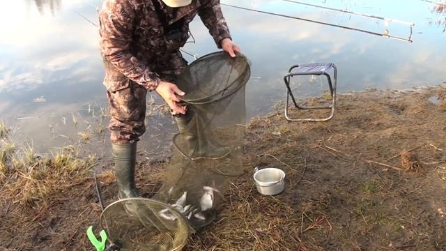 Ловля сорожки и подлещика! Жарим рыбу на природе.... смотреть онлайн