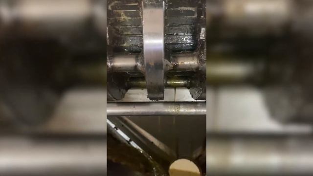 Амарантовое масло, процесс отжима смотреть онлайн