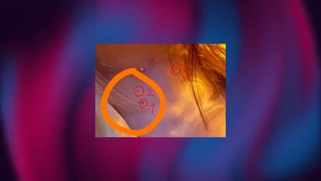 ВСЯ ПРАВДА О ЖЕНЕ БУМЫЧА и ее СЛИВЕ! КТО ОНА? ЧТО ПРОИСХОДИТ? смотреть онлайн