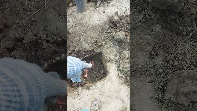 Мастерская мечты 126 день ЧАСТЬ 3 #shorts смотреть онлайн