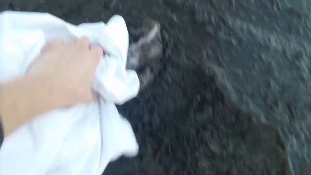 Правильный обзор на порошок Ariel смотреть онлайн