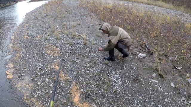 Ловля крупного Ленка на горной речке , осенняя охота на изюбря с якутскими лайками.... смотреть онлайн