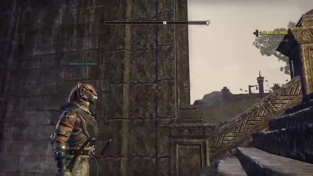 The Elder Scrolls Online: Tamriel Unlimited_20150720042425 смотреть онлайн