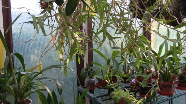 Lots of Thing To Do - Too Much? смотреть онлайн