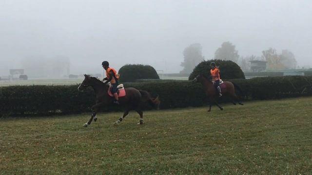 Endurance Kolesa 20.10.2019 смотреть онлайн