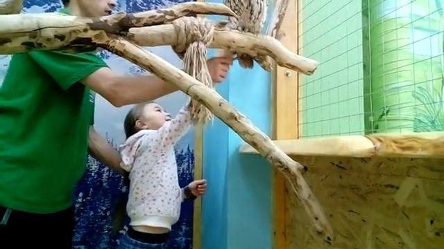 Света Стёпкина мини зоопарк Сити Мол(9) смотреть онлайн