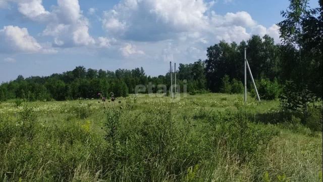 видео9 смотреть онлайн