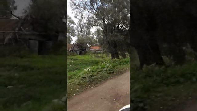 Малое Казариново нижегородской обл.за 7минут смотреть онлайн
