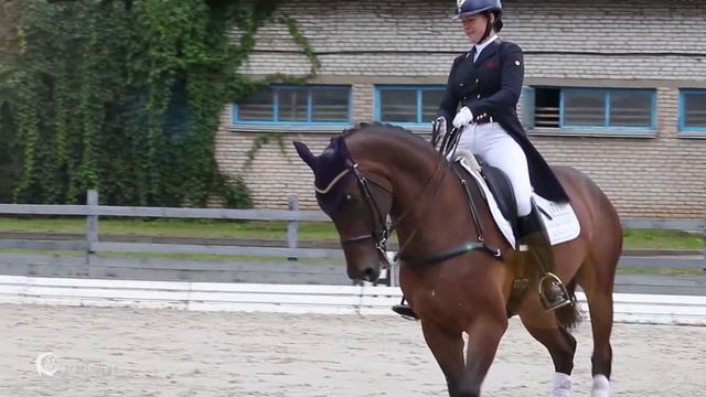 Anna Karaseva i Avocado смотреть онлайн