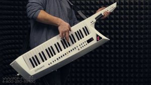 Наплечная миди клавиатура/синтезатор ROLAND AX-Edge