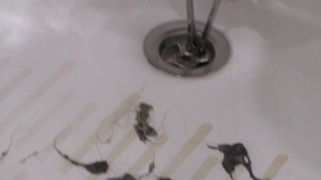 Дом, кухня и ванна: советы по уборке, ремонту и уходу