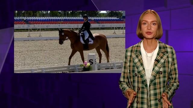 Региональный семинар для судей по троеборью. Часть 14 смотреть онлайн