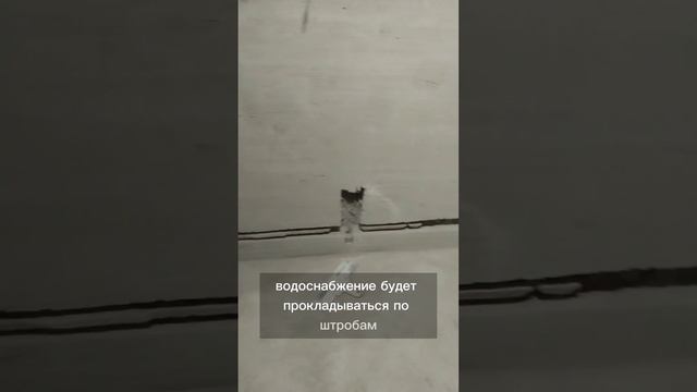 Цементная штукатурка во влажном помещение ??? смотреть онлайн