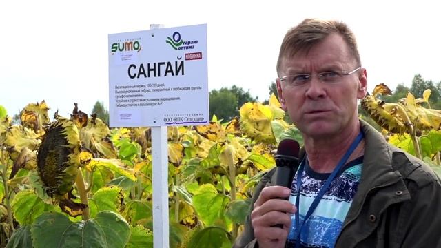 "День поля 2023" смотреть онлайн