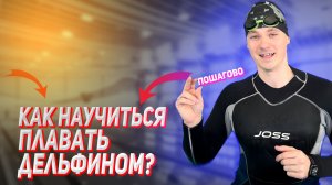 Как научиться плавать дельфином?