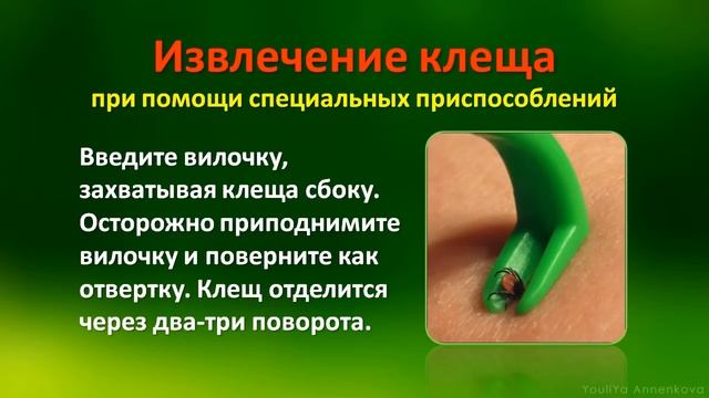 Жизнь на Планете Земля в Цвете