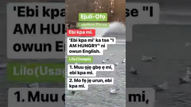 #Ejuliọfọ Ebi Kpa mi - I am hungry #itsekiri #warri (Common Phrase In Itsekiri Language). смотреть онлайн