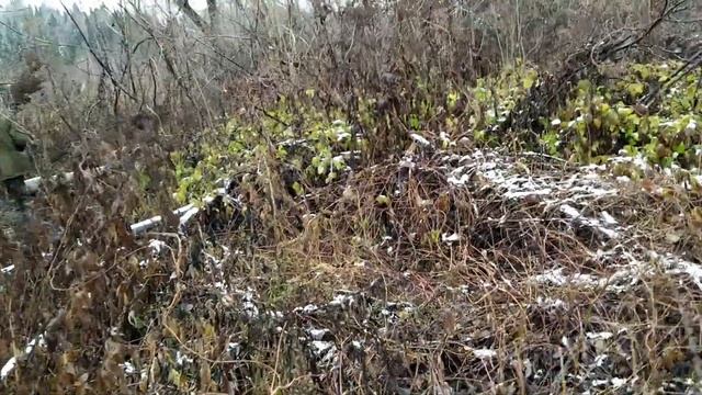 Охота на бобров капканами смотреть онлайн