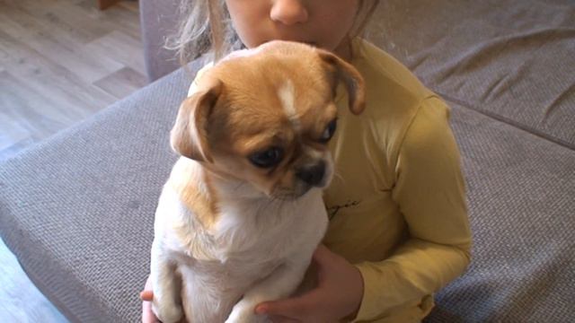 Удача ! Что это???