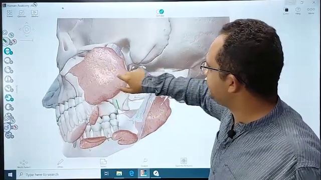 GIT 6 (BFOM) Salivary gland (Parotid 1) смотреть онлайн