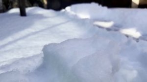 Купил жене ЛОПАТУ НА КОЛЕСАХ и теперь не выхожу из дома!!!