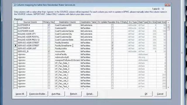 BPMS optional data Import Application смотреть онлайн