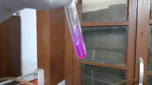 Proteus mirabilis biochemical tests Demonstration