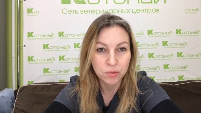 Диарея у щенка и котенка смотреть онлайн