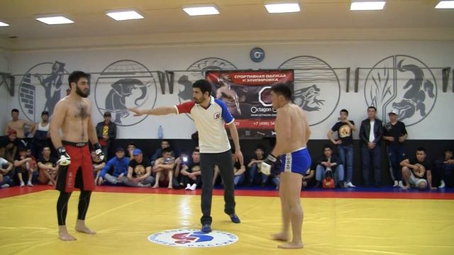 24.04.16 КУБОК МЭИ - Проф боевое самбо смотреть онлайн