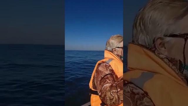 Треска. Отчёты смотреть онлайн