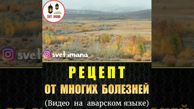 ???Рецепт от многих болезней. ⬇ смотреть онлайн
