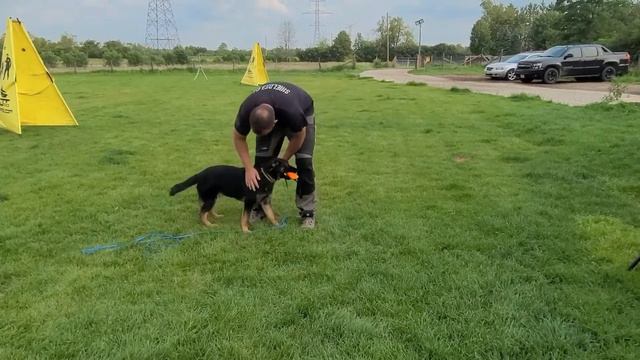 структ игра смотреть онлайн