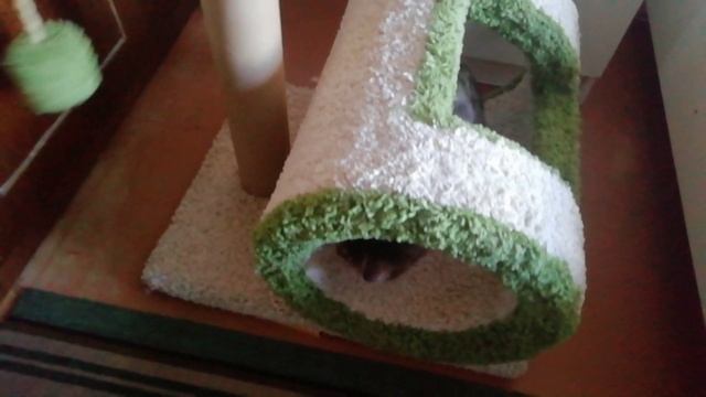 Недвижимость