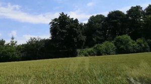 Деревни в Германии/Прогулка по нашим окреснностям/Наш старый дом/Жизнь в Германии