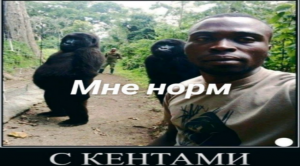 ЛУЧШИЕ МЕМЫ РУТУБА | ЗАСМЕЯЛСЯ ПРОИГРАЛ #2