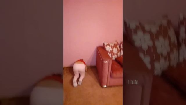 Урок стойки на руках у стены! смотреть онлайн