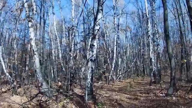 Саратов Кумысная поляна смотреть онлайн