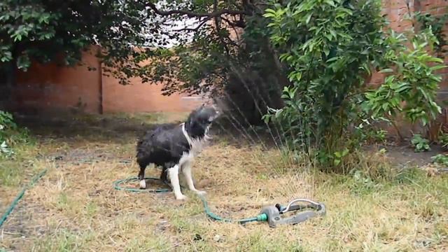 Neo and water :) смотреть онлайн