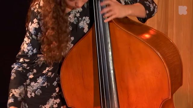 Paperclip souls with trombone bass and double bass. смотреть онлайн