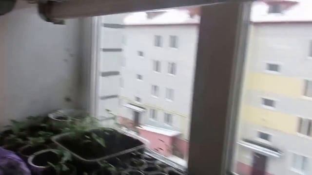 рассада на подоконнике , как увеличить место под рассаду смотреть онлайн