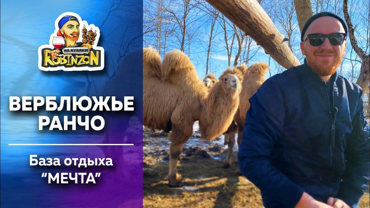 База отдыха «Парк Мечта» в Горячем ключе | Верблюжье ранчо смотреть онлайн