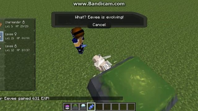 Pixelmon How to evolve eevee into Leafeon and Glaceon смотреть онлайн