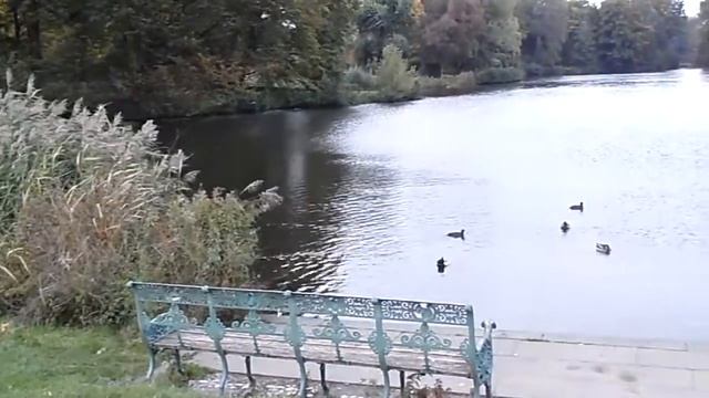 КАНАДСКАЯ КАЗАРКА В ПАРКЕ смотреть онлайн