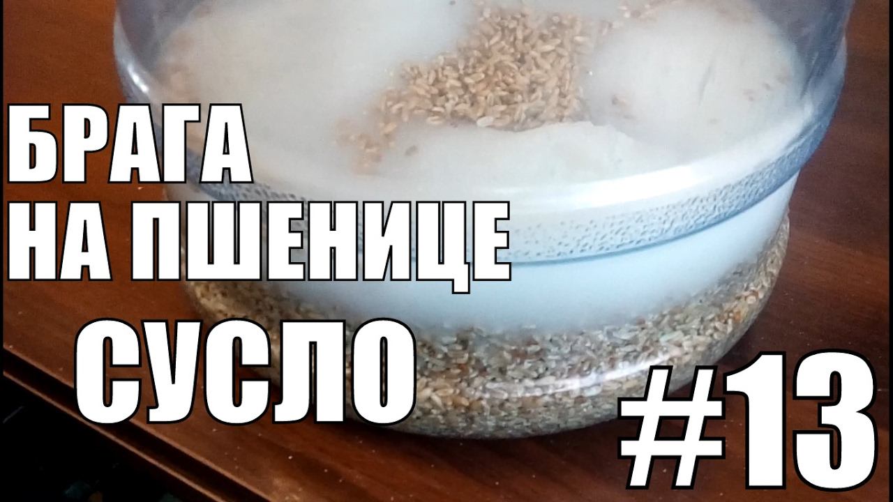 Брага на пшенице. Сусло.Самогонный аппарат своими руками. Самогон. Фильм №13. смотреть онлайн