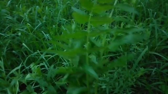 Ремонтные Мастерские