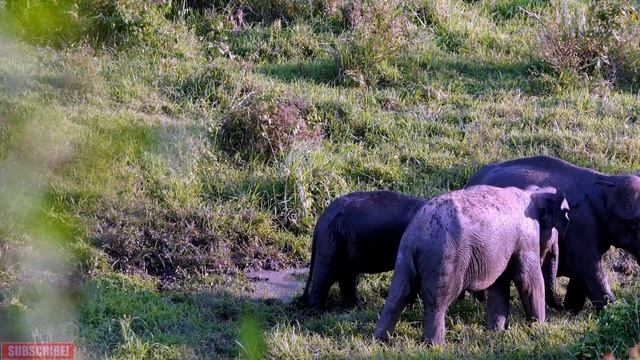 Бесплатная музыка, бесплатное видео, бесплатно без авторских прав, бесплатно скачать. смотреть онлайн