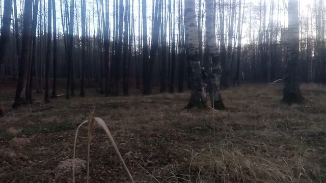 Днепр мт-11 тест после простоя!