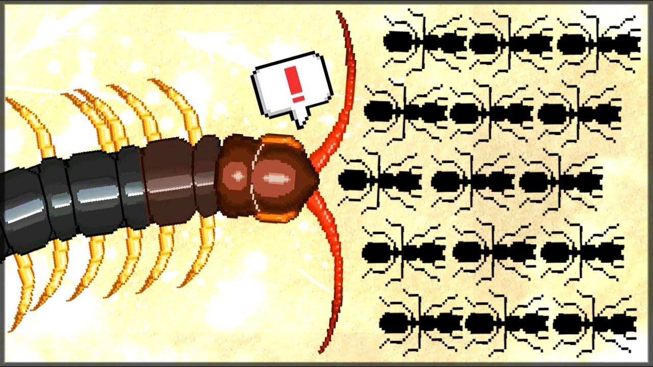 САМОЕ РЕДКОЕ СУЩЕСТВО СОРОКОНОЖКА! В ПОИСКАХ СОРОКОНОЖКИ. Pocket Ants: Симулятор Колонии смотреть онлайн