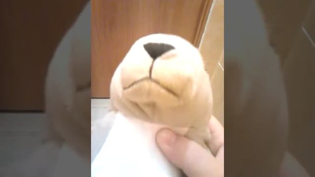Самый большой кролик в мире смотреть онлайн